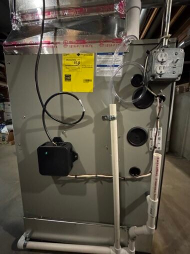 IMG_9241-Medium-rotated